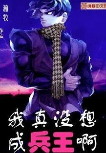 I Really Didn't Want to Be a Soldier King