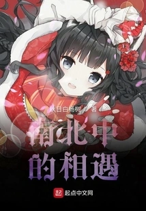 Encounter between North and South