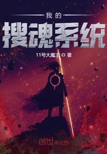 My Soul Searching System