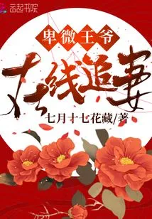 The Humble Prince Chases His Wife Online