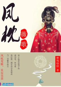 Phoenix Pillow Weige