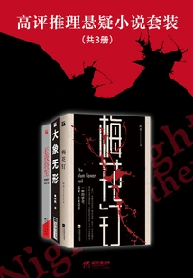 Highly Rated Mystery and Suspense Novel Set (3 Volumes in Total)