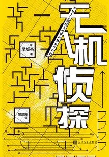 Drone Detective (black Cat Library)