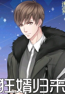 Crazy Son-in-law Returns