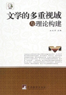 Multiple Perspectives and Theoretical Construction of Literature