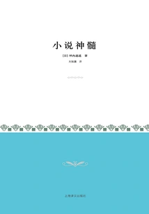 The Essence of the Novel