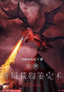 Wizard: Gain Identification at the Beginning