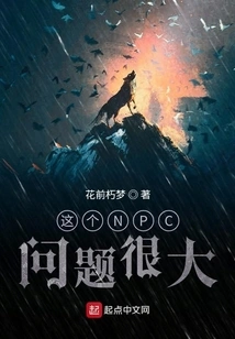 This Npc is Very Problematic