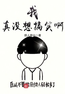 I Really Didn't Mean to Be Funny