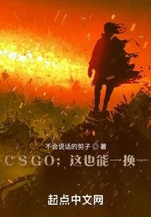 Csgo: Can This Be Exchanged for One?