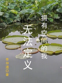 I Have Space and Cannot Be Defined