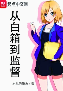 From White Box to Supervision