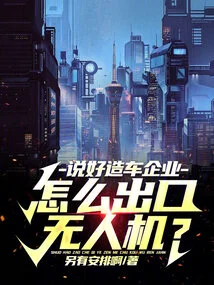 If We Agree on a Car Manufacturing Company, How Can We Export Drones?