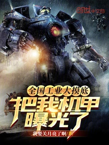 The National Industrial Survey Exposed My Mecha