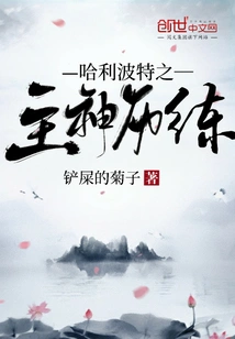 Harry Potter Master God Experience