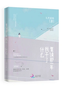 What Did I Do During the Year I Re-study?