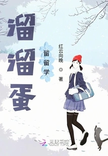 Studying Abroad at Yoyodan