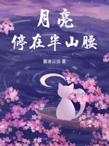 The Moon Stopped Halfway up the Mountain