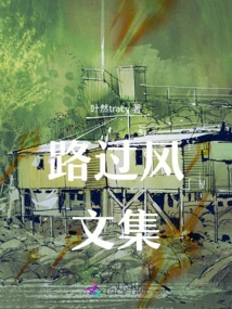 Collection of Passing Essays