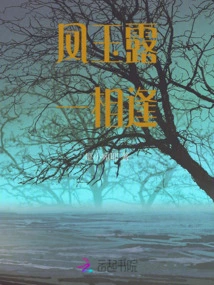 Feng Yulu, Once We Meet