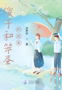 The Story of Fools and Idiots