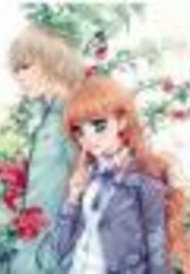 The Prince of Tennis' Feathers Fall Lightly