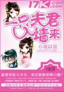 A Man Comes into the Wall