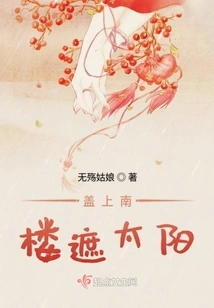 Cover the South Tower to Block the Sun