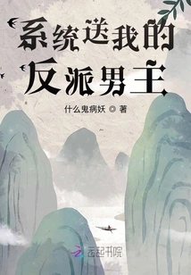 The System Sent Me the Villain Hero