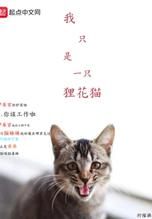 I'm Just a Raccoon Cat