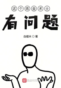 There's Something Wrong with This Alchemist