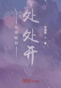 Bauhinia Blooms Everywhere