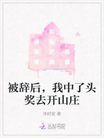 After I Was Fired, I Won the First Prize and Went to Open a Villa