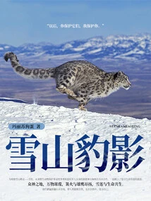 Snow Mountain Leopard Shadow