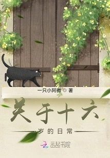 About the Daily Life of Sixteen Years Old