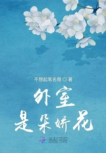 The Outer Room is a Delicate Flower