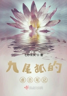 The Nine-tailed Fox's Sadomasochism Notes