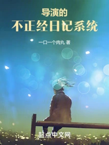 The Director's Illicit Diary System