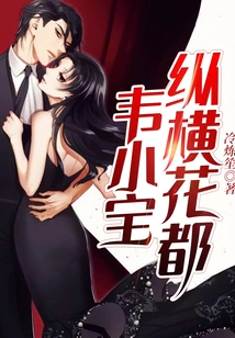 Wei Xiaobao Travels Across Huadu