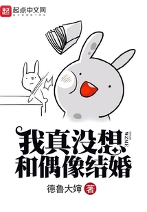 I Really Don't Want to Marry My Idol