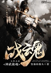 Shenwu Fighting Spirit