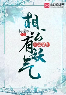 Chief Concubine: My Husband is Evil