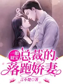 Two Babies from One Child: the Ceo's Runaway Wife