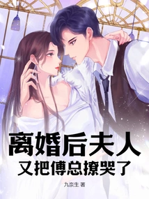 After the Divorce, My Wife Made Mr. Fu Cry Again