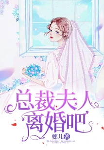 Madam Ceo, Let's Get a Divorce