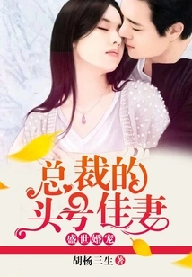 The Ceo's Number One Wife