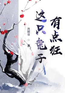 This Rabbit is a Little Crazy