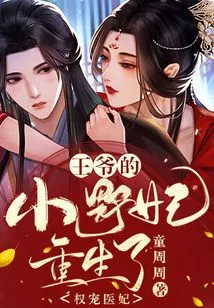 Power's Favorite Medical Concubine: the Prince's Little Wild Concubine is Reborn