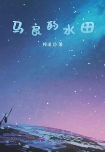 Ma Liang's Paddy Fields