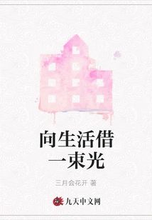 Borrow a Ray of Light from Life